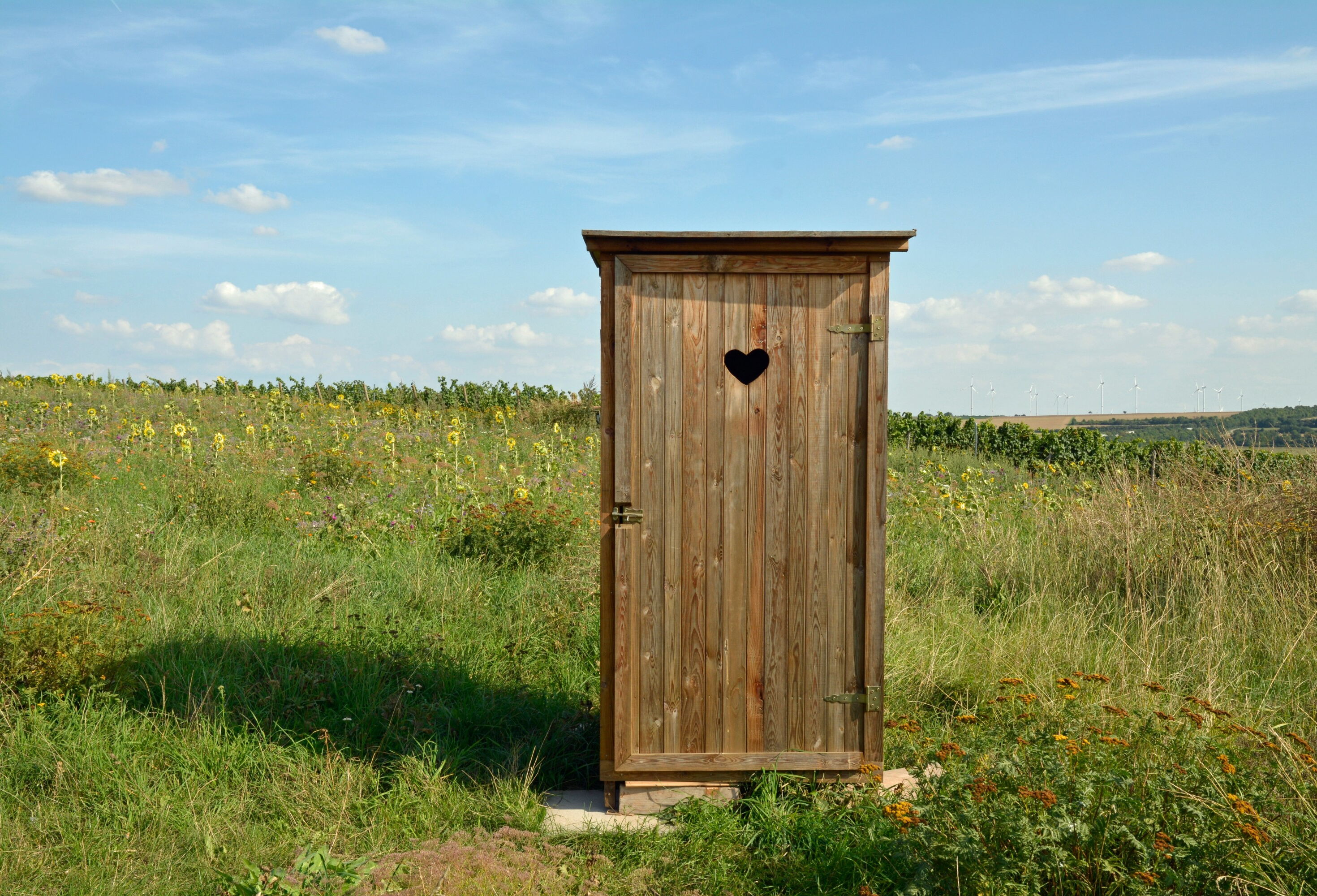Story-Headerimage